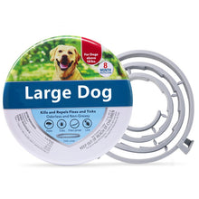 Carregar imagem no visualizador da galeria, Coleira para cães de estimação veterinário anti pulgas e carrapatos para gatos colar antiparasitário para cães grandes e pequenos acessórios para gatos dropshipping